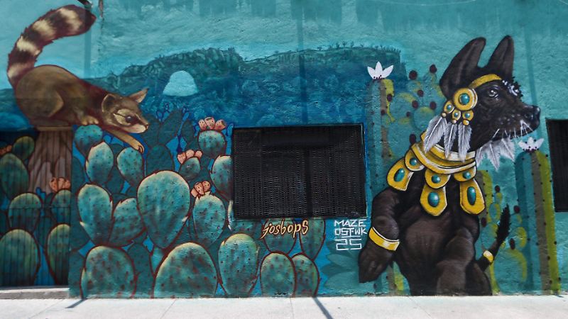 Dos Visiones un Mismo Espacio / Murales Hércules